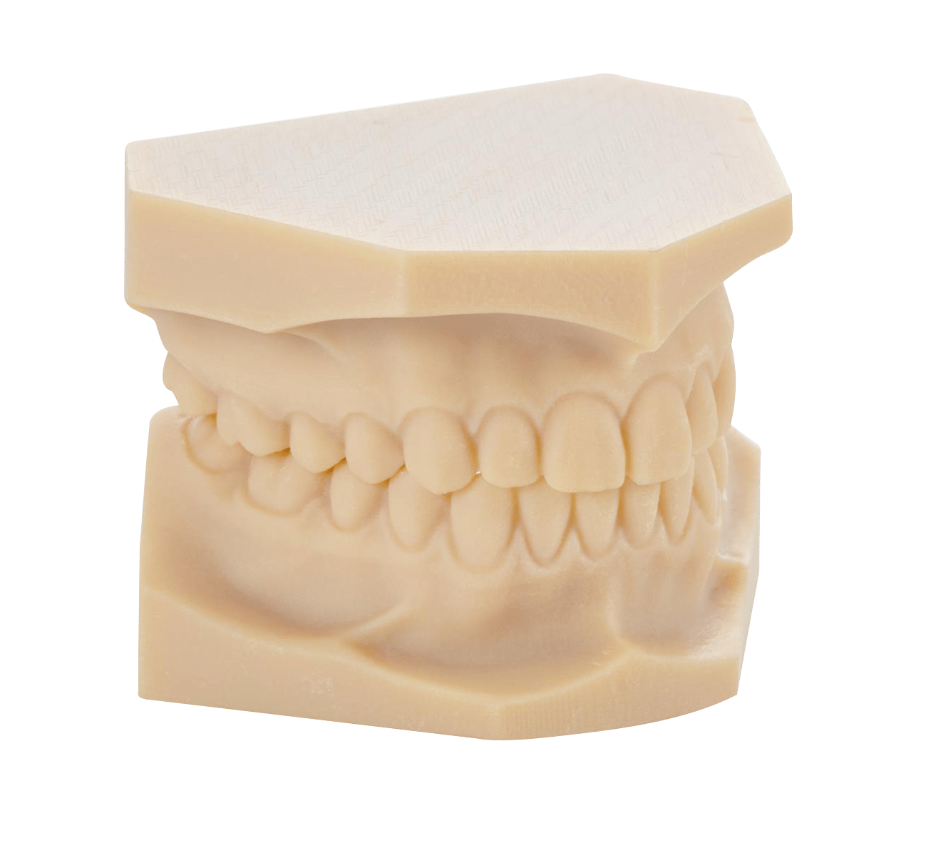 Study Model Dental 3D Printing Stratasys