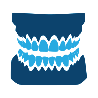 full denture module icon