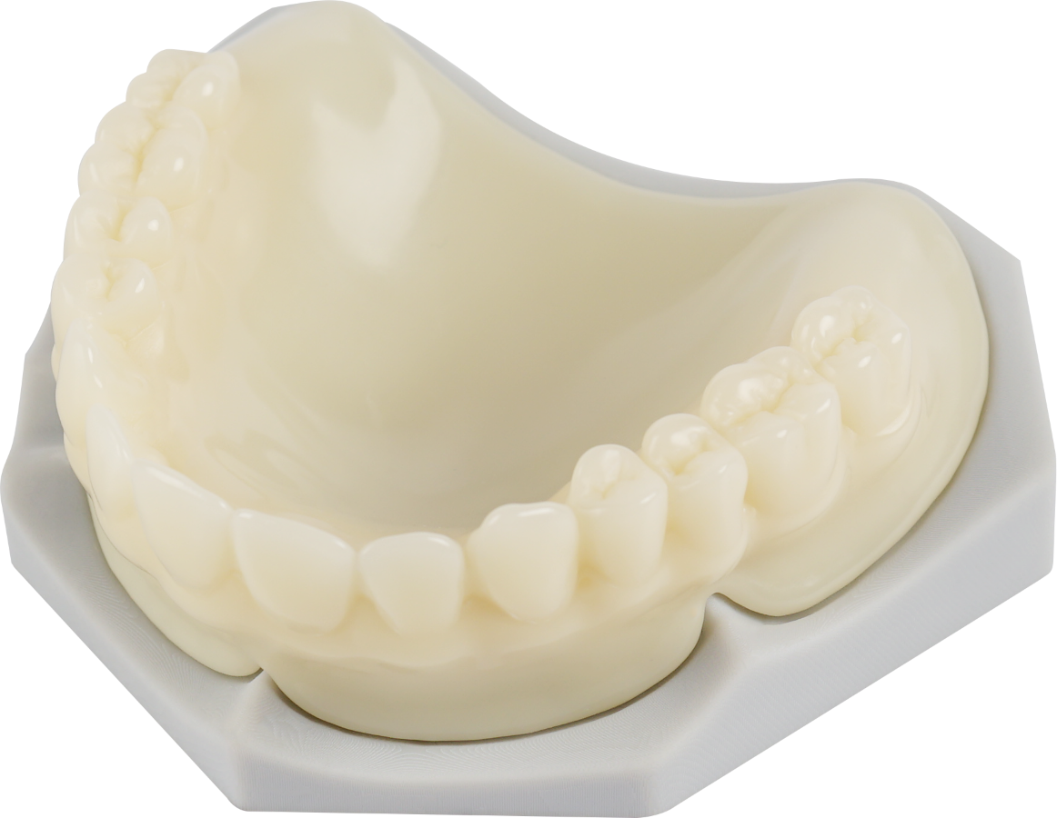 Image of a try-in denture model by heygears